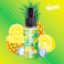 Příchuť Sun Tea 10ml Citron Ananas