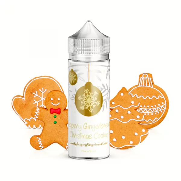 Příchuť AEON Journey Xmas Edition Peppery Gingerbread - Perníčky s vánočním kořením (24ml)