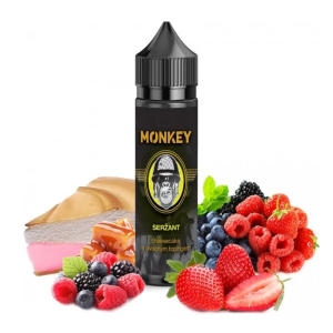 prichut-monkey-serzant-cheesecake-s-ovocnym-topingem