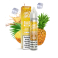 prichut-just-juice-bar-range-pineapple-ananas