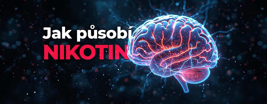 Jak působí nikotin na naše tělo: srovnání různých forem užívání
