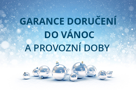 Do kdy objednat, aby vám dárky dorazily do Vánoc?